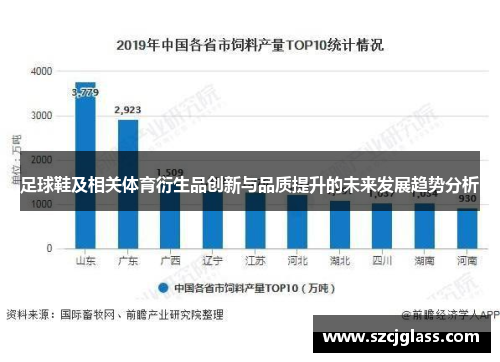 足球鞋及相关体育衍生品创新与品质提升的未来发展趋势分析